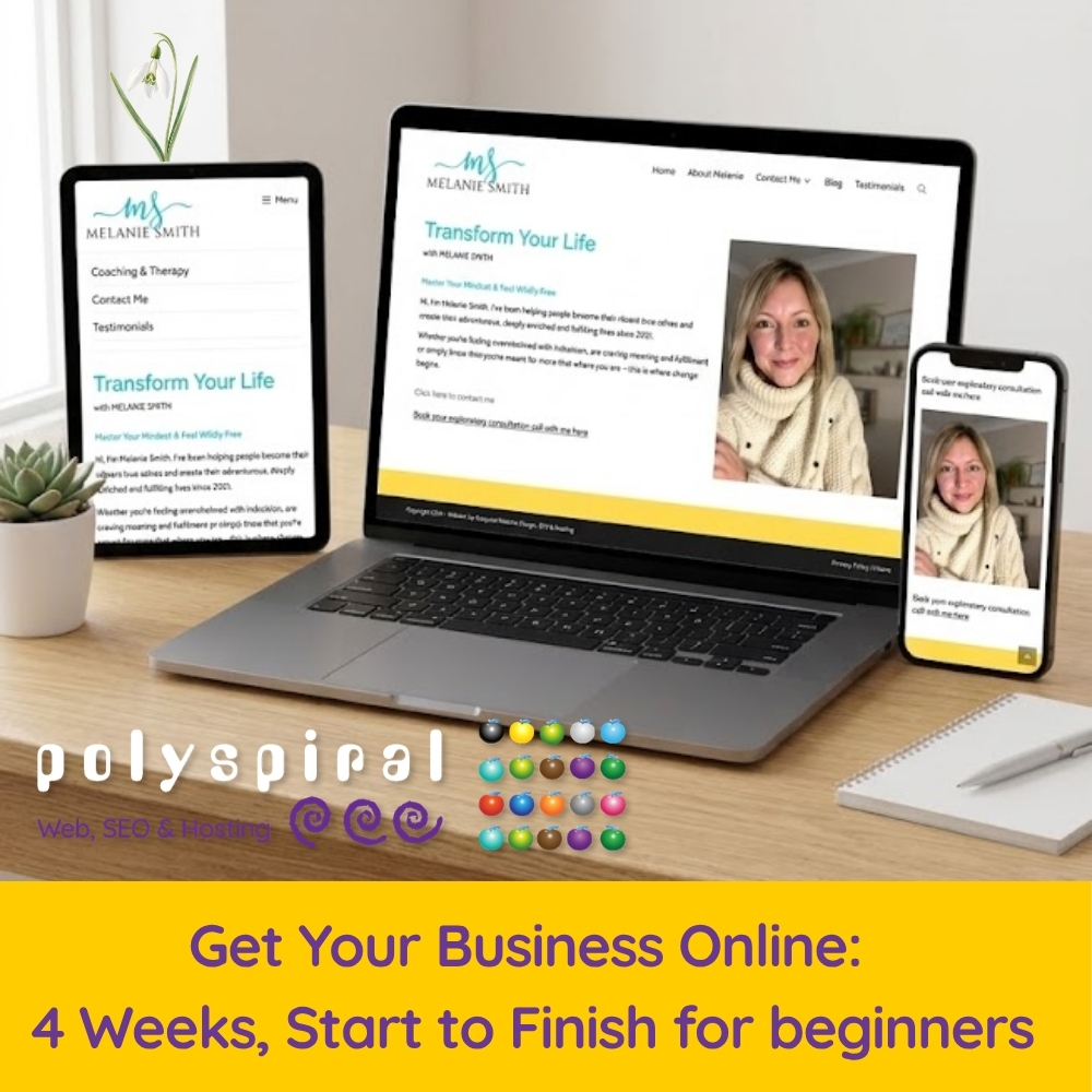 Finally Get Your Business Online: 4 Weeks, Start to Finish