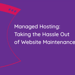 Read more about the article Managed Hosting: Taking the Hassle Out of Website Maintenance