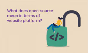 Read more about the article What does open-source mean in terms of website platform?