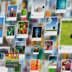 Read more about the article How to optimise images for your website