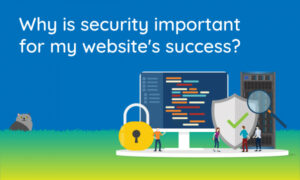 Read more about the article Why is security important for my website’s success?