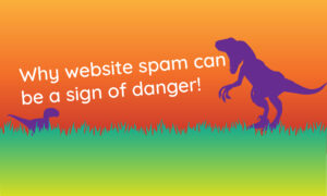 Read more about the article Why website spam can be a sign of danger!